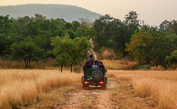 Safari-at-Panna-National-Park