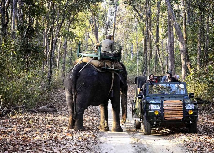 Kanha National Park 5 _DSC0297_Snapseed_Fotor-590448a25f9b5810dcf78a5a