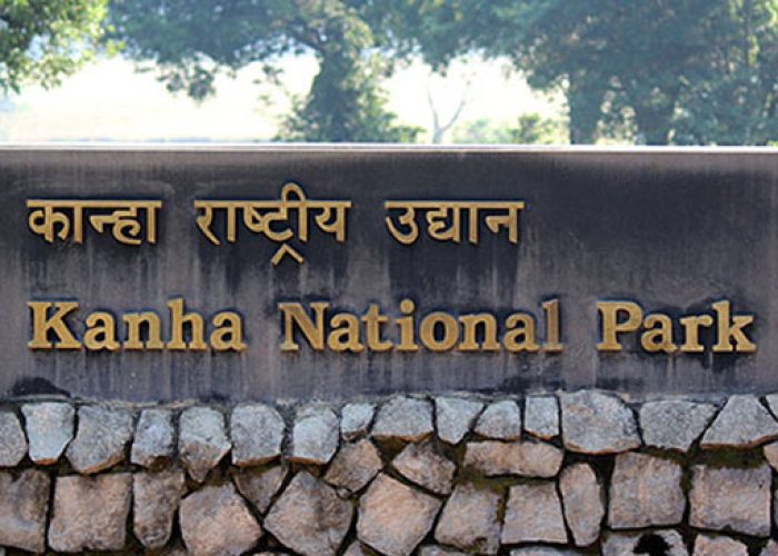 Kanha-National-Park