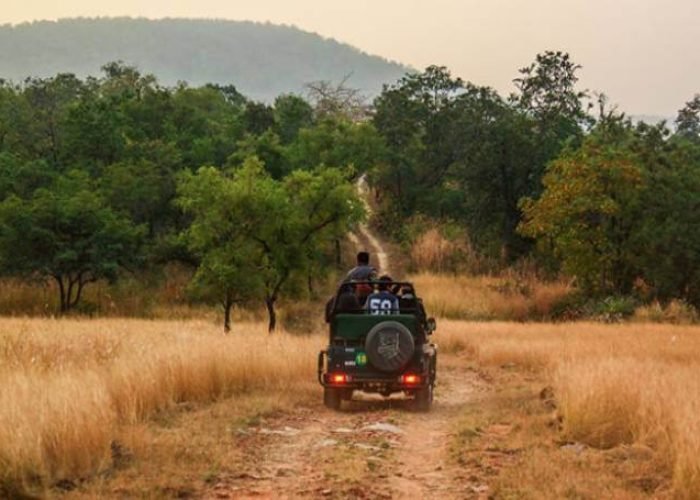 PANNA TIGER SAFARI TOUR 5 Safari-at-Panna-National-Park