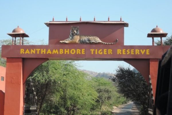 ranthambore-national