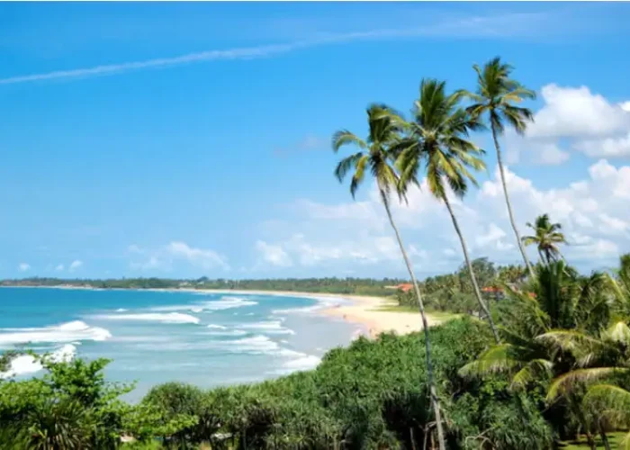 Sri Lanka Tour Package 5 shutterstock_117983893